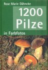 - 1200 Pilze