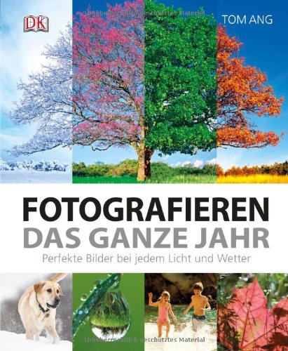 - Fotografieren das ganze Jahr: Perfekte Bilder bei jedem Licht und Wetter