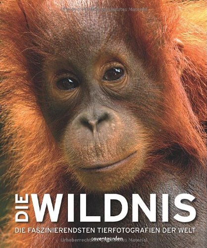 - Die Wildnis: Die faszinierendsten Tierfotografien der Welt