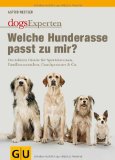  - Familienhunde: 50 Rassen, die passen