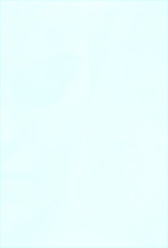 - 7 Zwerge- Der Wald ist nicht genug (CD): Das Hörspiel zum Film