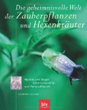  - Das Heilwissen der Mönche und Kräuterhexen: Rezepte und Anwendungen traditioneller Naturheilkunde