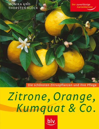 - Zitrone, Orange, Kumquat & Co: Die schönsten Zitruspflanzen und ihre Pflege