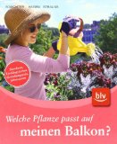 - Balkon-Ideen für Ungeduldige: Schnelle Lösungen, die sicher gelingen