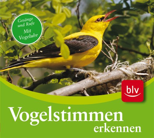  - CD Vogelstimmen erkennen. Audio-CD: Gesänge und Rufe der 75 häufigsten Arten mit farbigem Begleitheft