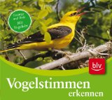 - Singvögel: Heimische Arten erkennen