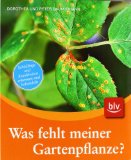  - Mein gesunder Gemüsegarten: Großer Krankheits- und Schädlingskalender