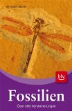  - Illustrierte Fossilien-Enzyklopädie