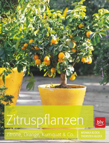- Zitruspflanzen: Zitrone, Orange, Kumquat & Co