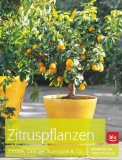  - Gartenpflanzen richtig überwintern: Von Gehölzen, Stauden und Rosen bis zu Teich- und Kübelpflanzen
