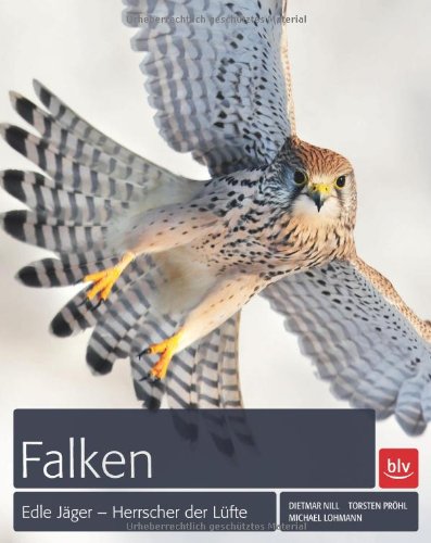  - Falken: Edle Jäger - Herrscher der Lüfte
