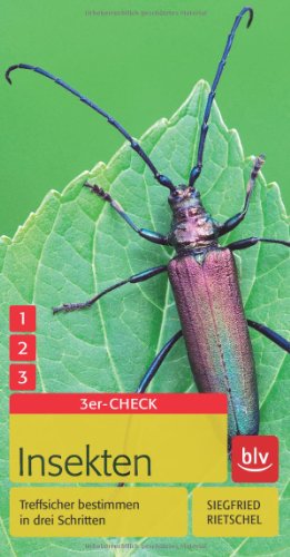 - Insekten: Treffsicher bestimmen in drei Schritten