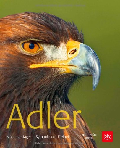 - Adler: Mächtige Jäger - Symbole der Freiheit