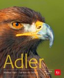 - Seeadler ganz nah