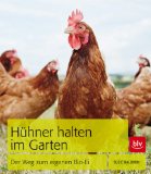 - Unsere ersten Hühner