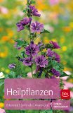  - Gesund durch Heilkräuter: 530 Rezepte: 530 heilende Rezepte