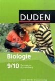 Oldenbourg Schulbuchverlag - Verstehen und Gestalten H 9: Zum neuen Lehrplan für Gymnasien in Berlin, Brandenburg, Hamburg, Niedersachsen, Rheinland-Pfalz, Sachsen-Anhalt, Saarland