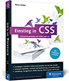 Müller, Peter - Flexible Boxes: Eine Einführung in moderne Websites