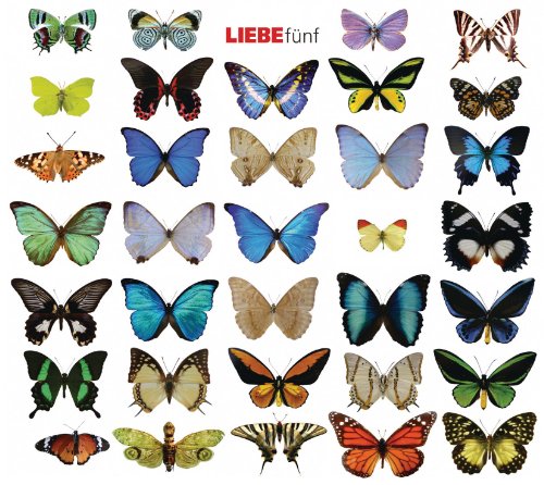 - LIEBE 5: WortArt