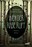  - Der Mann, der den Regen träumt