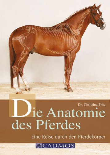 - Die Anatomie des Pferdes: Eine Reise durch den Pferdekörper