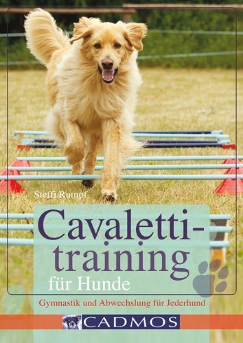 - Cavalettitraining für Hunde: Gymnastik und Abwechslung für Jederhund