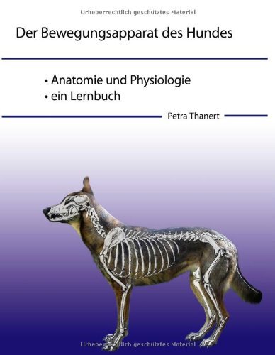 - Der Bewegungsapparat des Hundes