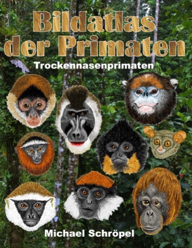 - Bildatlas der Primaten: Trockennasenprimaten