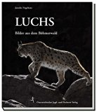  - Der Luchs: Die Rückkehr der Pinselohren