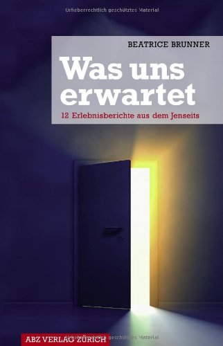  - Was uns erwartet: 12 Erlebnisberichte aus dem Jenseits