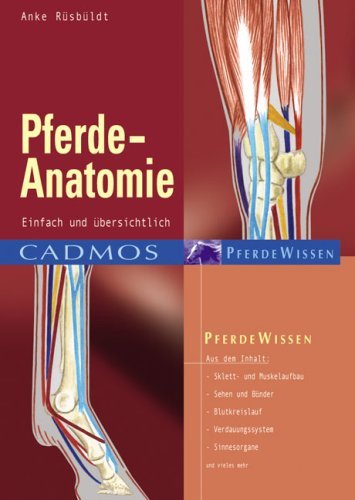 - Pferde-Anatomie: Einfach und übersichtlich