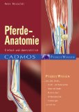  - Die Anatomie des Pferdes: Eine Reise durch den Pferdekörper