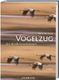  - Vögel füttern, aber richtig: Das ganze Jahr füttern, schützen und sicher bestimmen