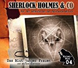 Sherlock Holmes & Co - Sherlock Holmes & Co-die Krimi Box 5 (3cd)