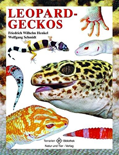  - Leopardgeckos (Terrarien-Bibliothek)