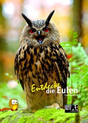 - Entdecke die Eulen