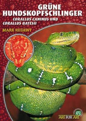  - Grüne Hundskopfschlinger: Corallus caninus und Corallus batesii