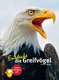  - Entdecke die Eulen