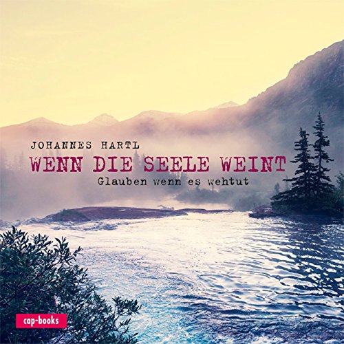 - Wenn die Seele weint - Glauben, wenn es weh tut