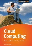 Metzger, Christian / Reitz, Thorsten / Villar, Juan - Cloud Computing: Chancen und Risiken aus technischer und unternehmerischer Sicht