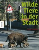 - Tiere in der Stadt: Eine Naturgeschichte
