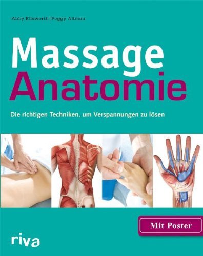 - Massage-Anatomie: Die richtigen Techniken, um Verspannungen zu lösen