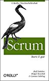 Rubin, Kenneth S. - Essential Scrum - Umfassendes Scrum-Wissen aus der Praxis