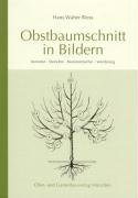 - Obstbaumschnitt in Bildern: Kernobst - Steinobst - Beerensträucher - Veredlung