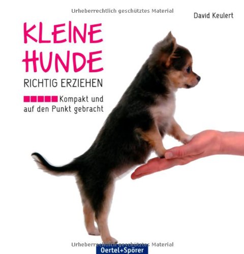  - Kleine Hunde richtig erziehen: Kompakt und auf den Punkt gebracht