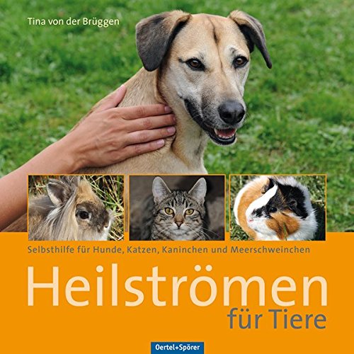 - Heilströmen für Tiere: Selbsthilfe für Hunde, Katzen, Kaninchen und Meerschweinchen