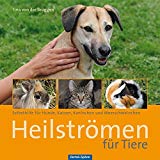 - Heilströmen für Pferde