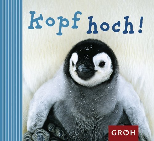  - Kopf hoch!
