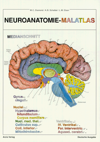  - Neuroanatomie - Malatlas