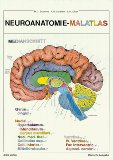  - Anatomie Malatlas